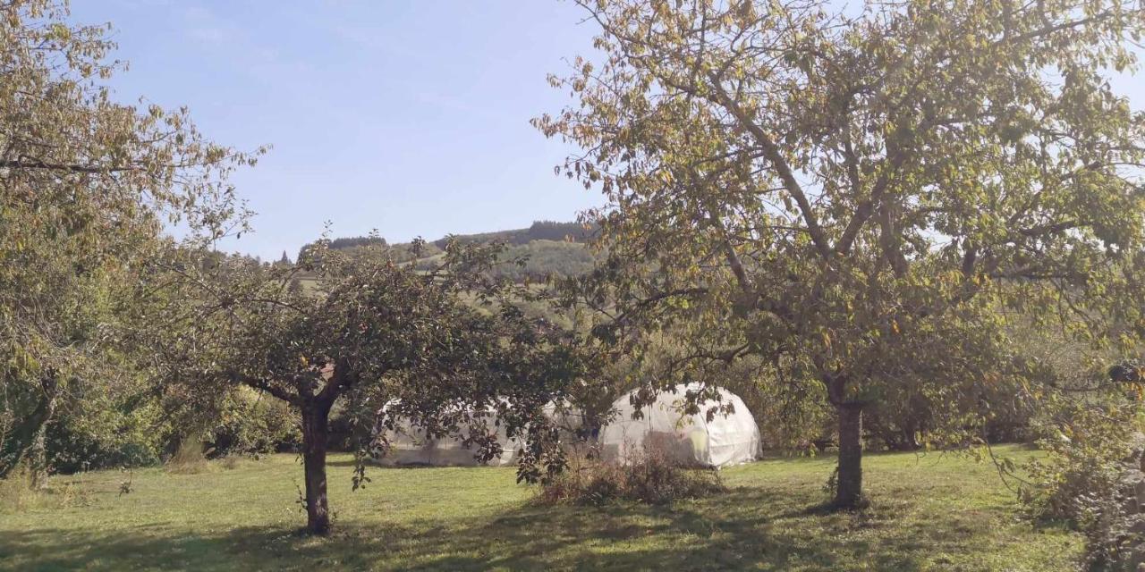 Petit Gite Ou Chambre D'Hotes 2/4 Personnes Buffieres Exteriér fotografie